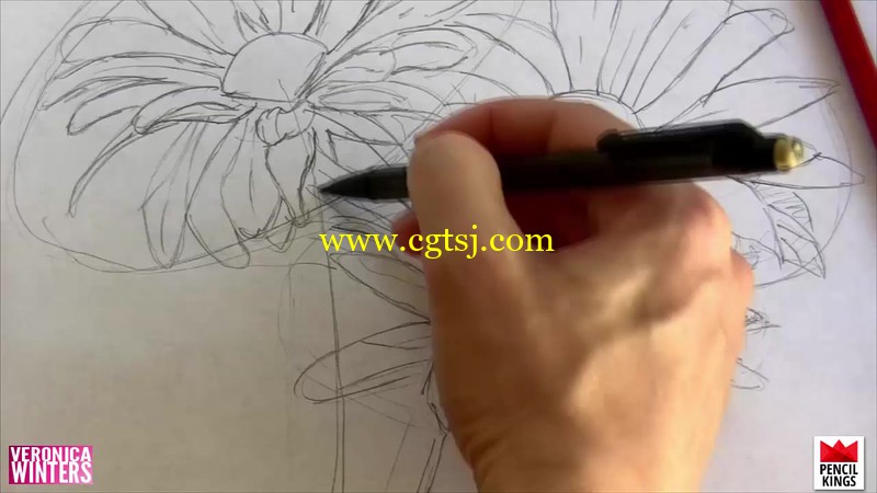 雏菊彩色铅笔绘画实例训练视频教程的图片3