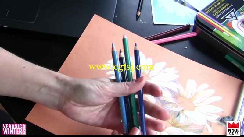 雏菊彩色铅笔绘画实例训练视频教程的图片4