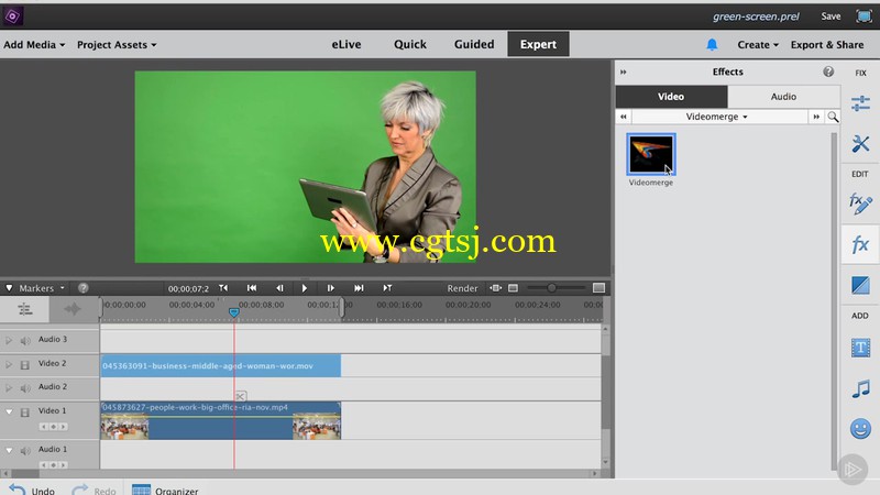 Premiere Elements 15视频制作基础训练视频教程的图片2