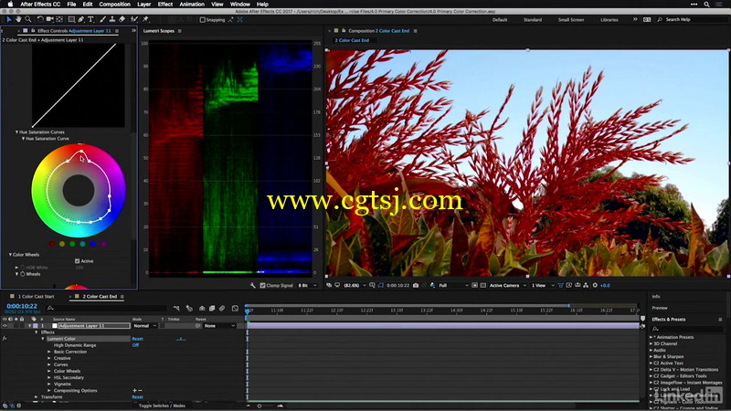 AE大师班之色彩分级技术视频教程的图片3