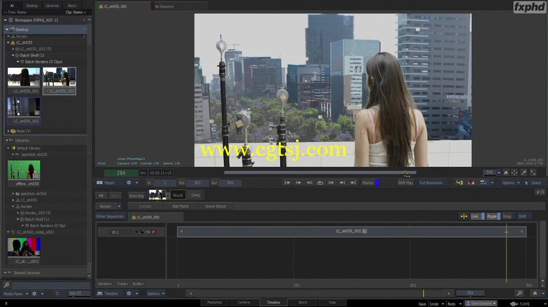Flame与Nuke影视镜头特效VFX大师级视频教程的图片2