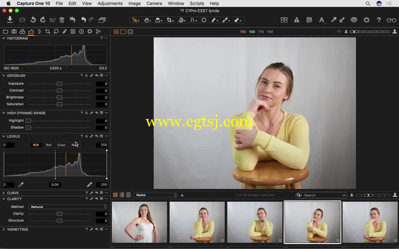 Capture One Pro 10图像处理全面核心训练视频教程的图片1