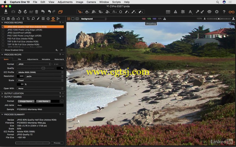 Capture One Pro 10图像处理全面核心训练视频教程的图片2
