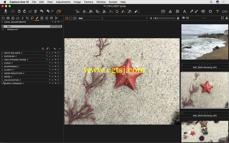 Capture One Pro 10图像处理全面核心训练视频教程的图片3
