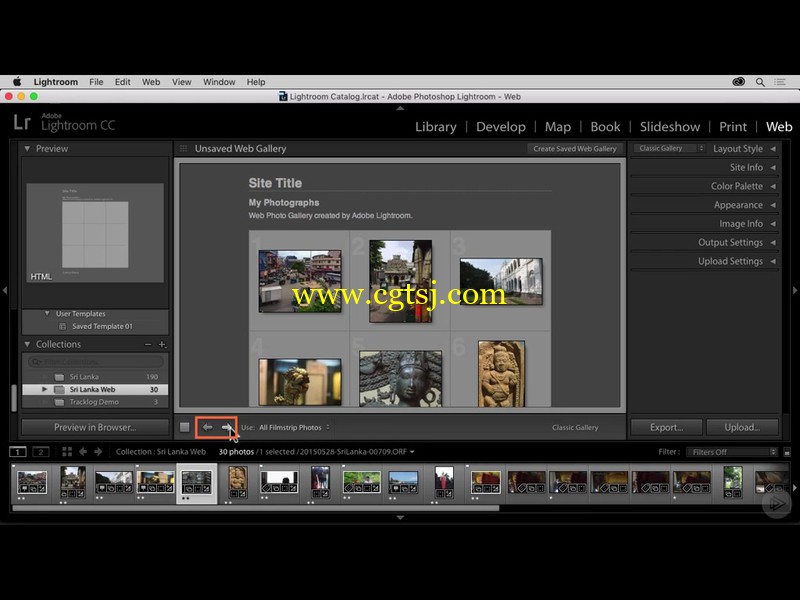 Lightroom CC网络地图处理技术视频教程的图片1