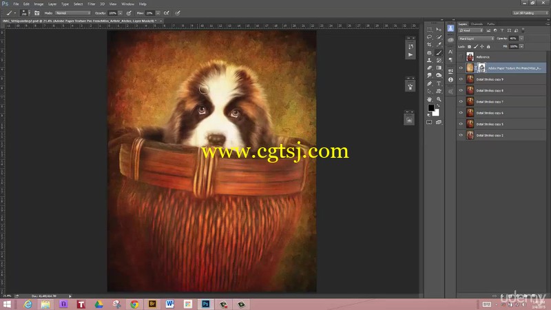 高端实用的Photoshop数字宠物绘画视频教程的图片2