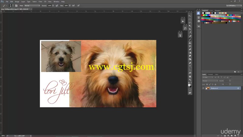 高端实用的Photoshop数字宠物绘画视频教程的图片3