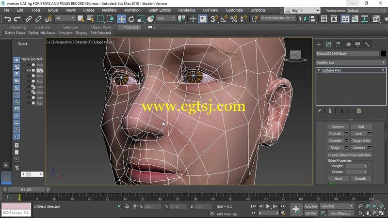 3dsmax2018拓扑技术基础核心训练视频教程的图片3