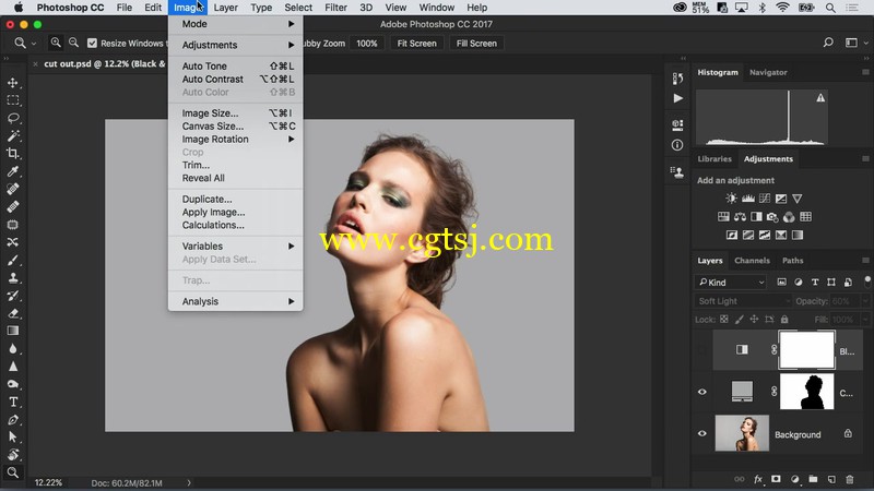 PS美女肖像高级遮罩技术训练视频教程的图片3
