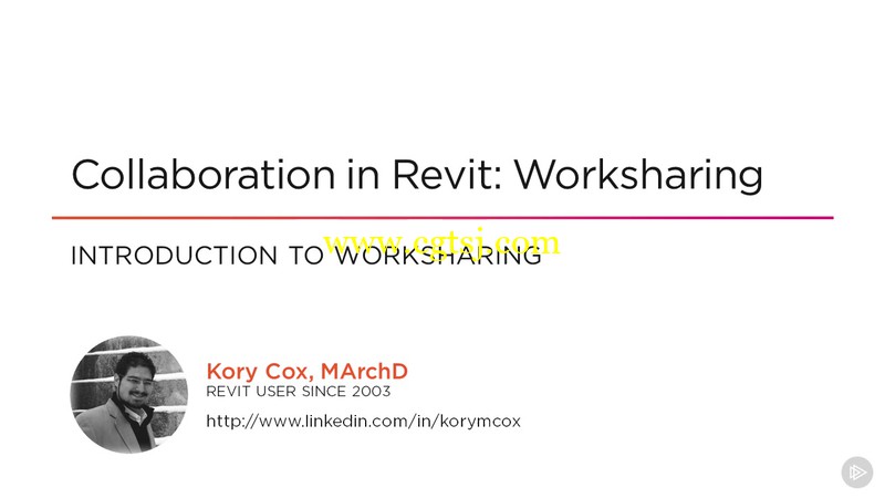 Revit工作组高效协作技术视频教程的图片4