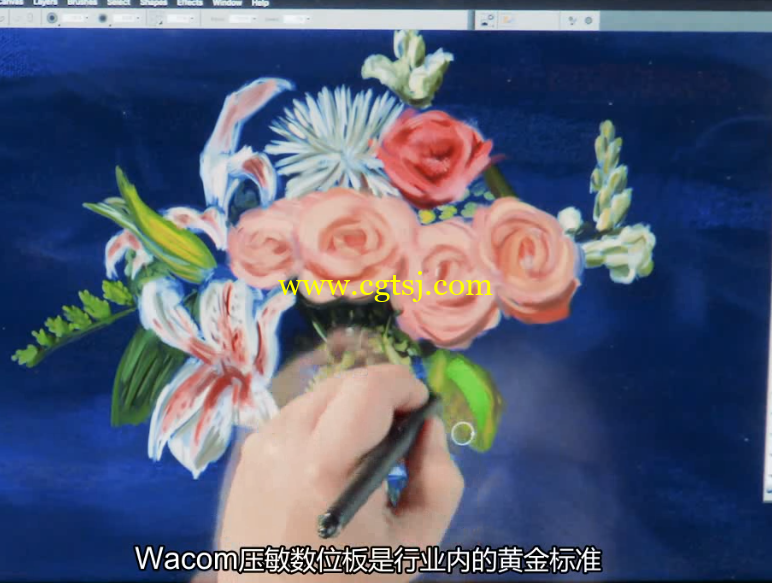 手绘板全面核心训练视频教程(中文字幕)的图片6