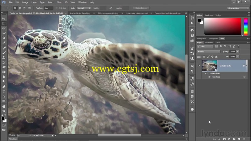 Photoshop增强水下图片处理技能视频教程的图片3