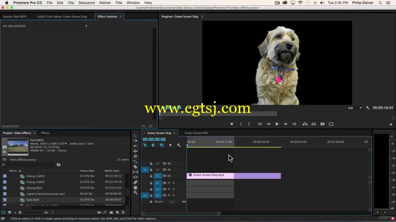 Premiere简单高效视频编辑实例训练视频教程的图片3