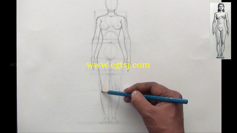 2015男性与女性身体的解剖视频教程的图片2