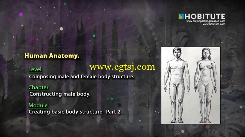 2015男性与女性身体的解剖视频教程的图片3