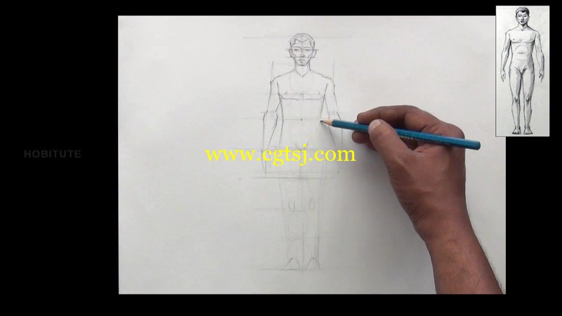 2015男性与女性身体的解剖视频教程的图片4