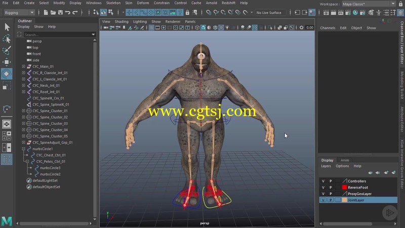 Maya骨骼动画核心技术训练视频教程的图片1