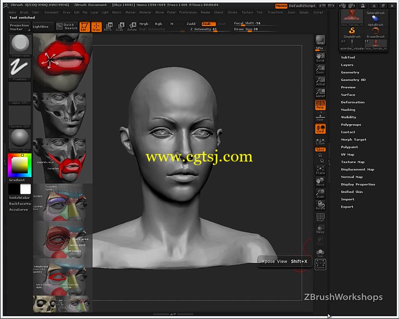 Zbrush人体面部解剖结构大师级训练视频教程的图片1