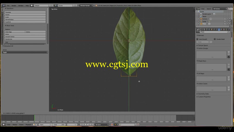 Blender小型花园环境场景实例制作视频教程的图片2