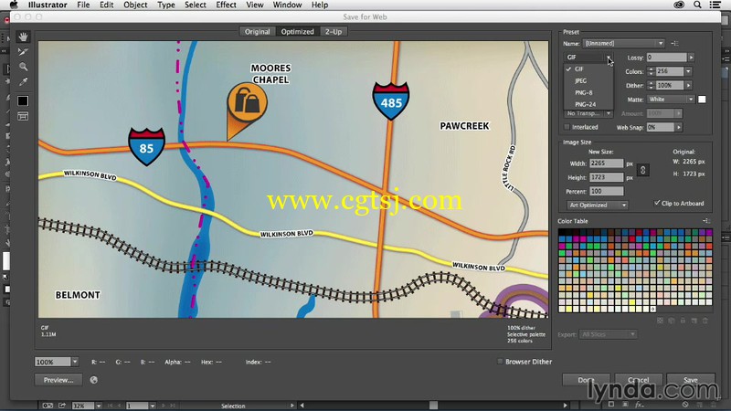 Illustrator创建地图视频教程的图片3
