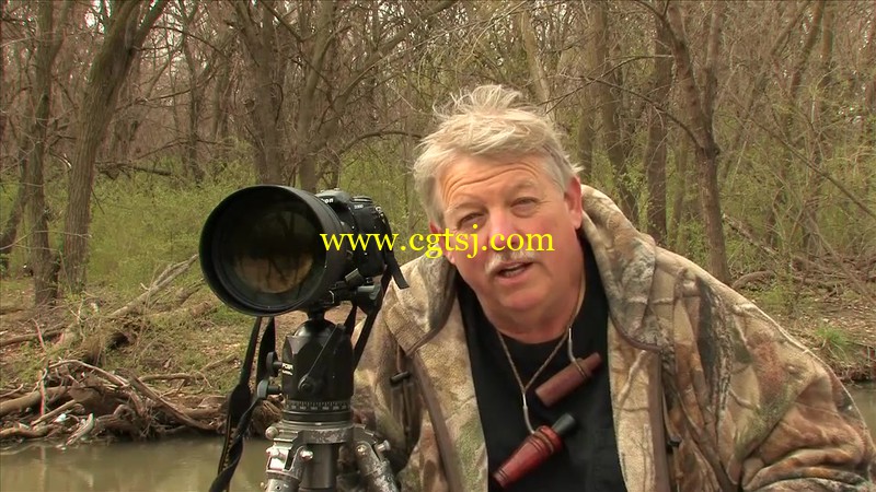 专业大师级野生动物摄影视频教程的图片2
