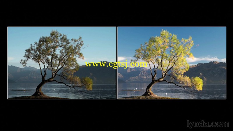 大师在新西兰的瓦纳卡湖摄影视频教程的图片2
