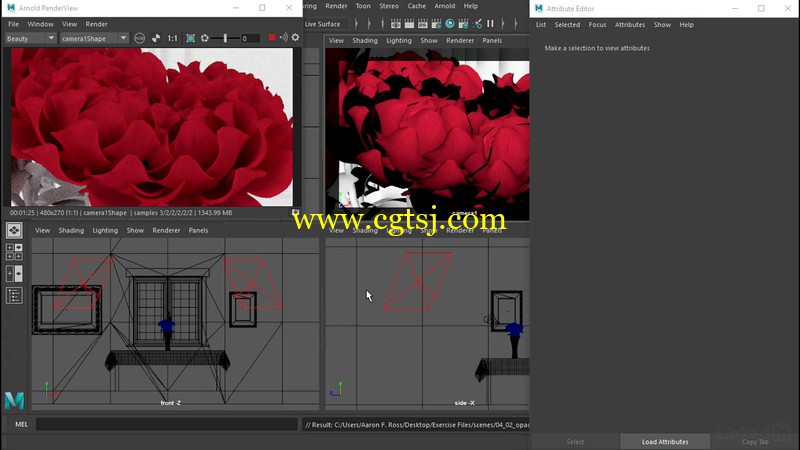 Maya中Arnold 5渲染技术核心技术训练视频教程的图片3