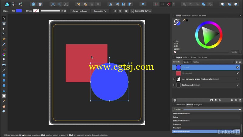 Affinity Designer矢量图形设计基础训练视频教程的图片1