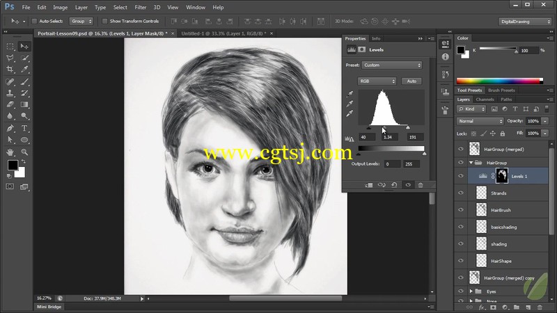 专业数字肖像绘画视频教程的图片4