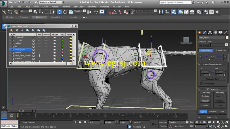 强大的四足生物绑定3ds Max视频教程的图片4