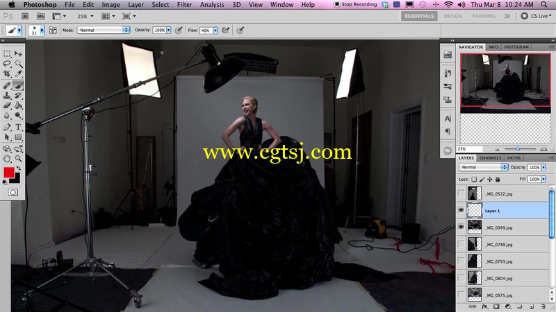 Photoshop婚纱照片精修视频教程的图片2