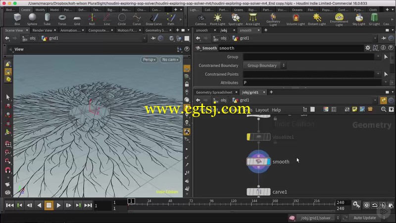 Houdini中SOP Solver高级技术训练视频教程的图片1