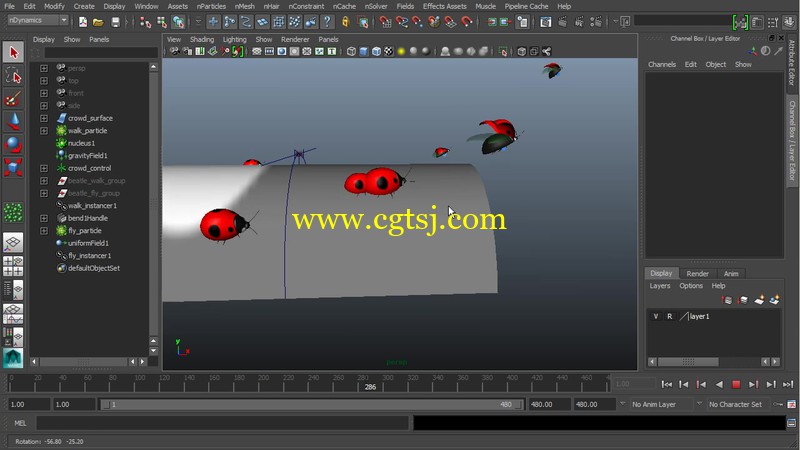Maya创建真实昆虫模拟动画视频教程的图片3