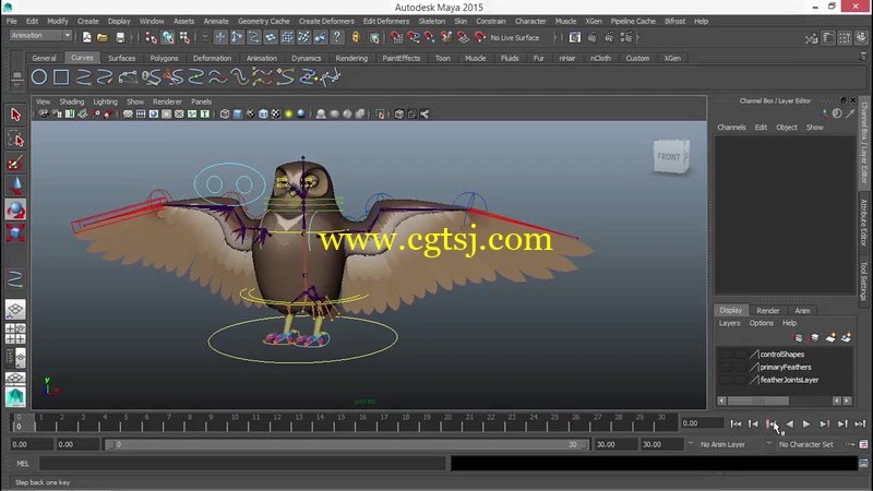 Maya绑定带翅膀的动物视频教程的图片3
