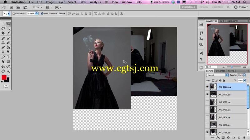 Photoshop婚纱照片精修视频教程的图片1