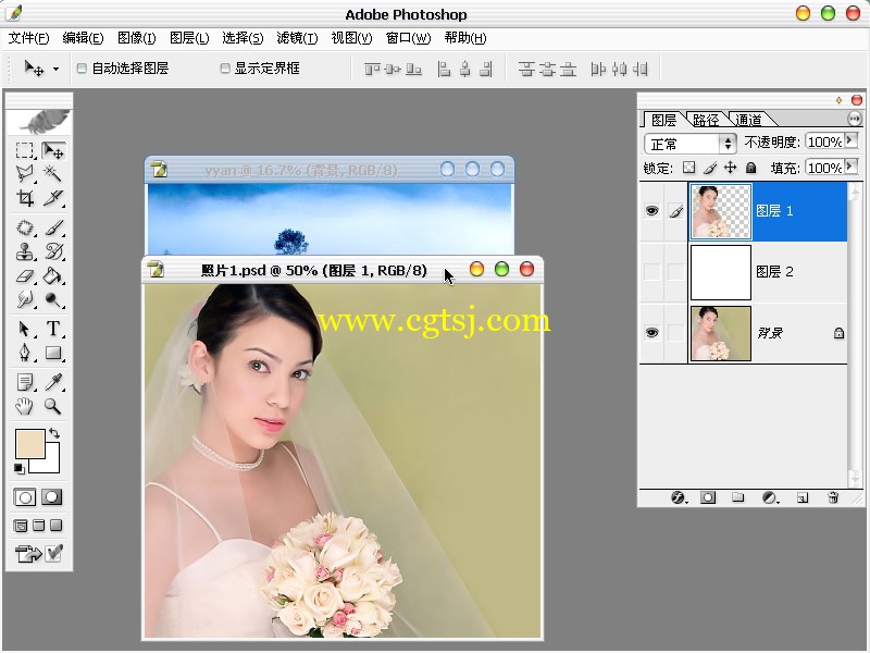 精品Photoshop相片处理视频教程的图片3