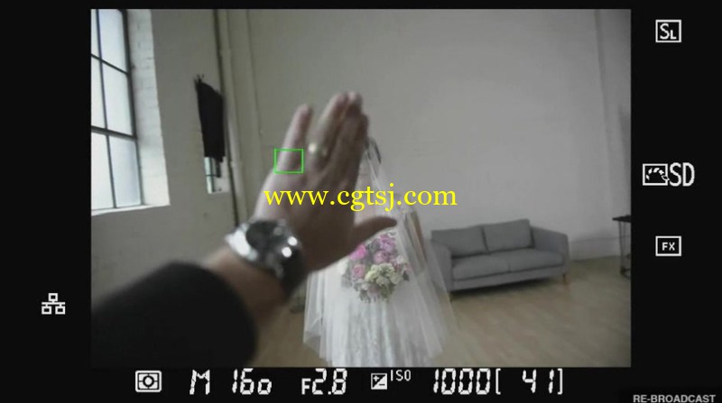 专业摄影师婚纱婚礼摄影视频教程的图片2