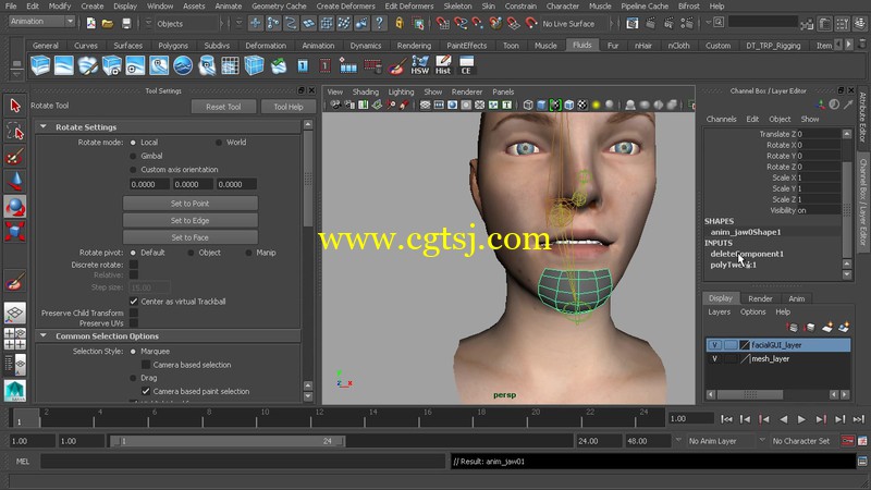 Maya人脸面部控制变形设计视频教程的图片3