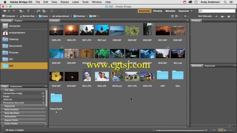 Photoshop 2015专业技能训练视频教程的图片3