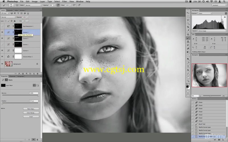 Photoshop专业摄影后期黑白图像调色视频教程的图片2