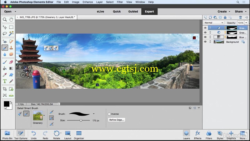 Photoshop Elements 2018图像编辑核心技术训练视频教程的图片1