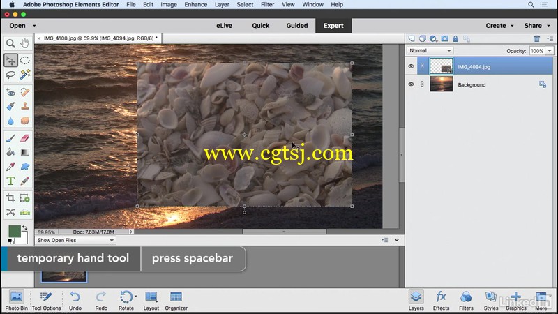 Photoshop Elements 2018图像编辑核心技术训练视频教程的图片2