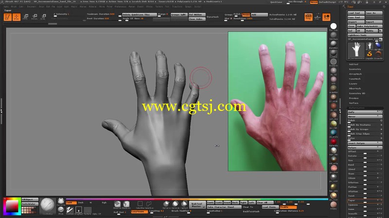 Zbrush手部模型雕刻剖析视频教程第一季的图片1