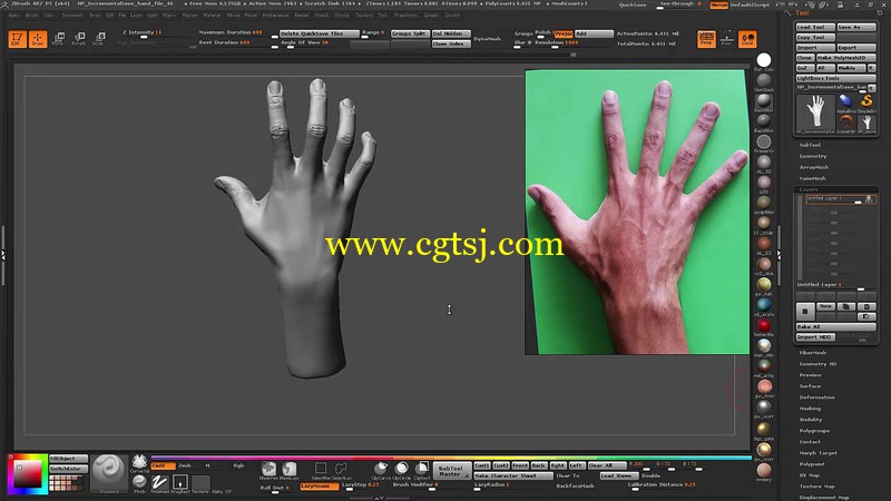 Zbrush手部模型雕刻剖析视频教程第二季的图片3