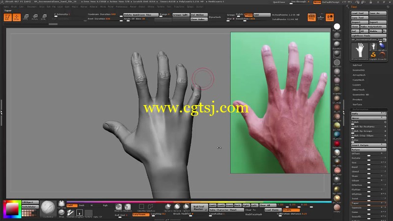 Zbrush手部模型雕刻剖析视频教程第二季的图片4