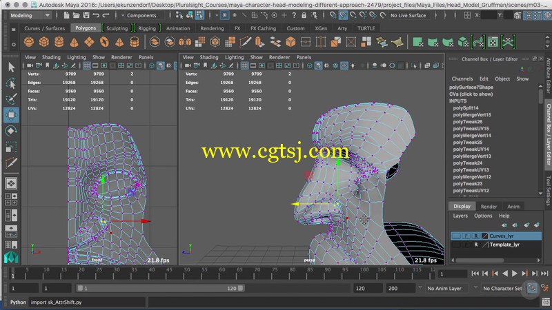 Maya人物头部不同方法建模视频教程的图片2