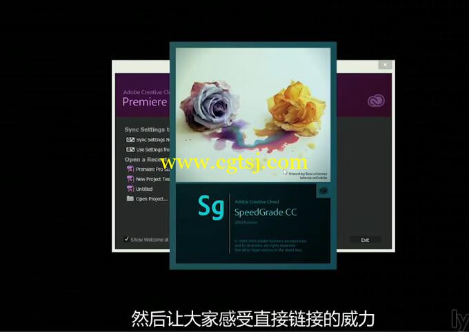 PR与SG高效工作技巧视频教程(中文字幕)的图片2