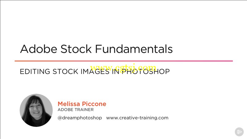 Adobe Stock图库资料使用技术视频教程的图片3