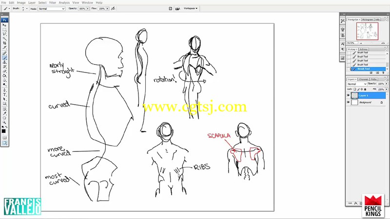 绘画插画人体解剖学大师级训练视频教程的图片1