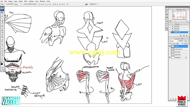 绘画插画人体解剖学大师级训练视频教程的图片2